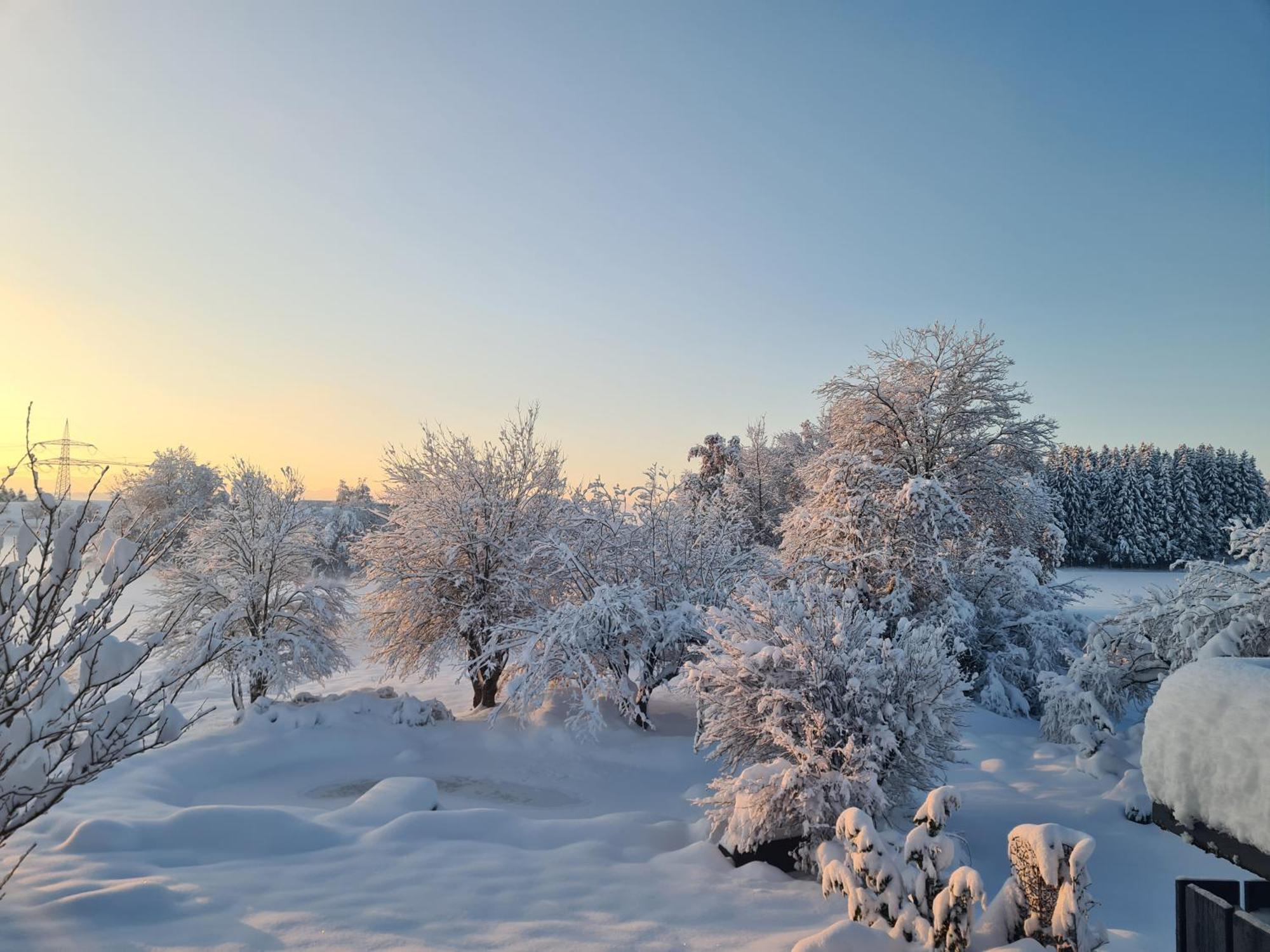 Hotel Birkenmoor Scheidegg Εξωτερικό φωτογραφία