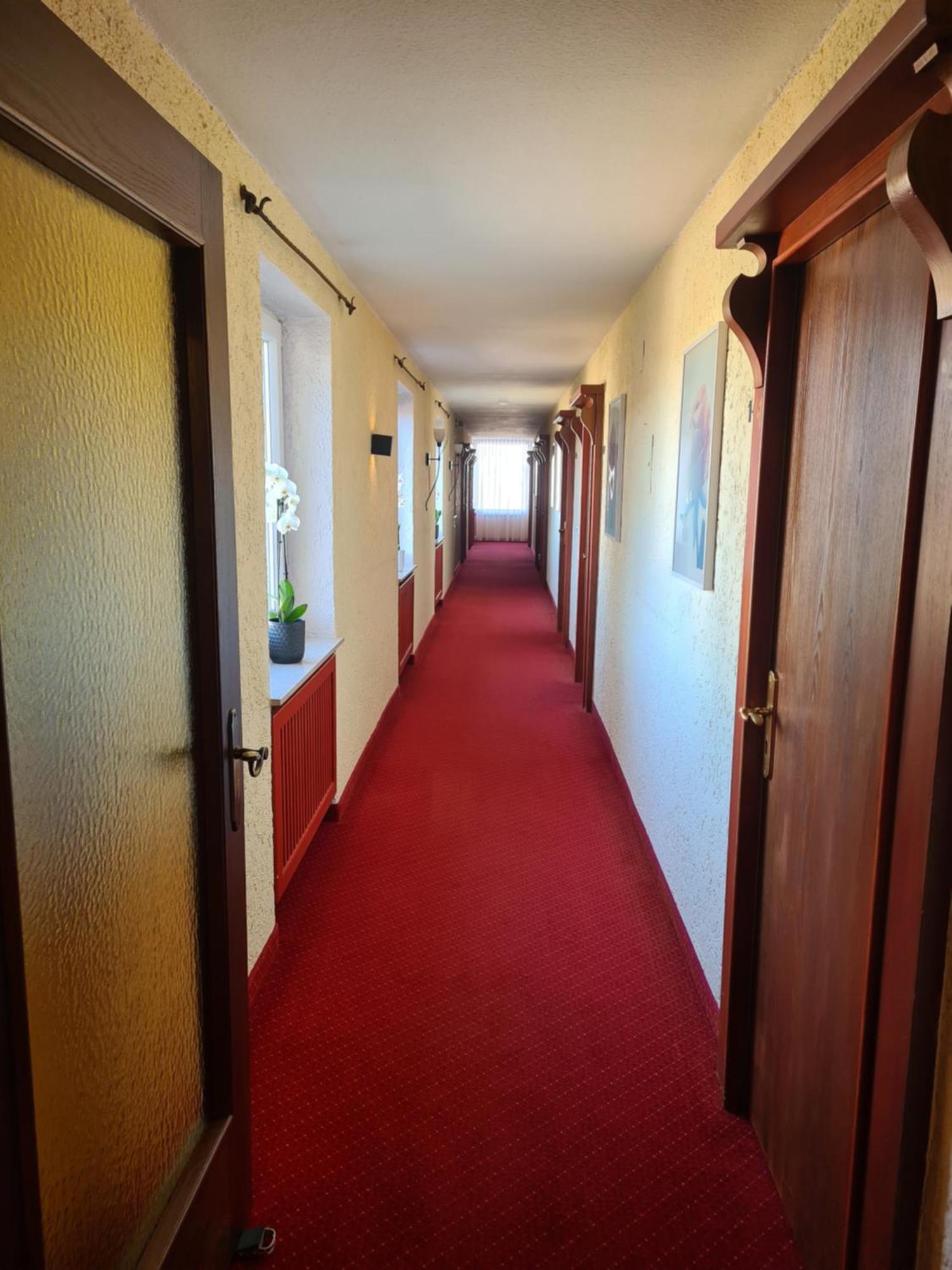 Hotel Birkenmoor Scheidegg Εξωτερικό φωτογραφία